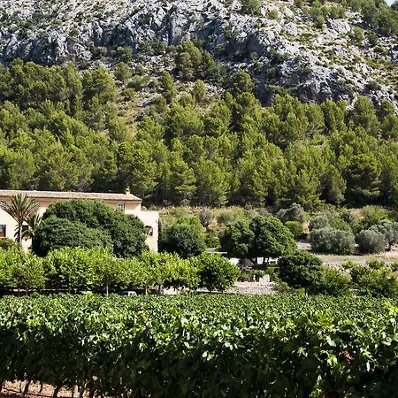 Holiday home Can Jaume Pollenca