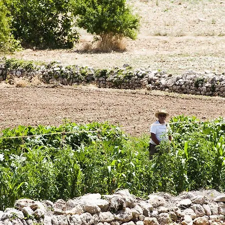 Can Jaume * Pollenca